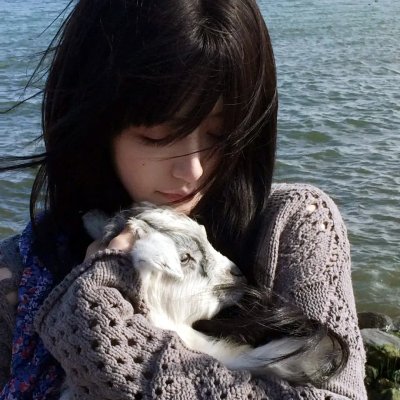 新冷血十三鹰 海报